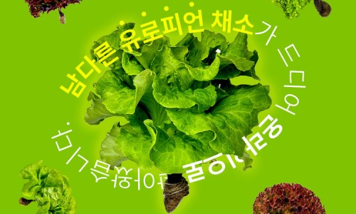 천리상회 이미지