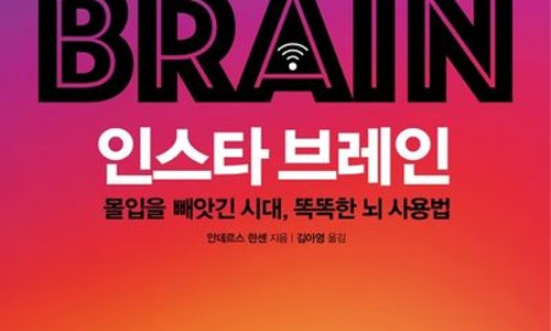 브레인체인 이미지