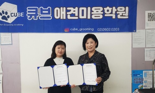 큐브애견미용학원 이미지
