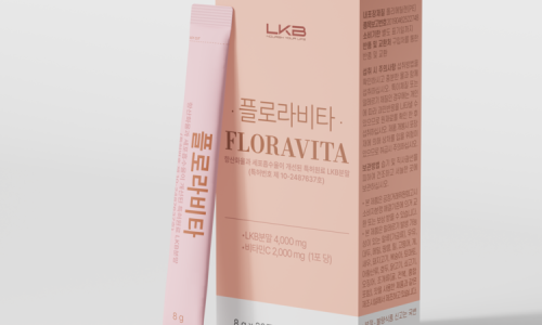엘케이비 이미지