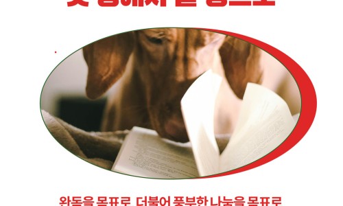 끝 장 이미지