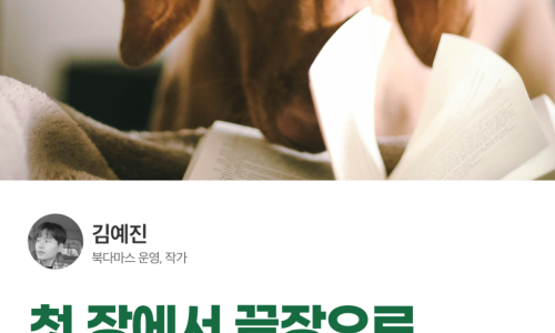끝 장 이미지