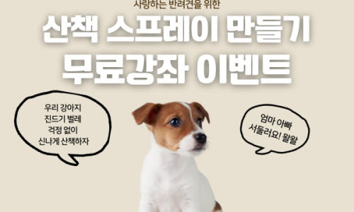 아로마홈힐러 이미지