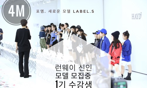 스타모델엔터테인먼트 이미지