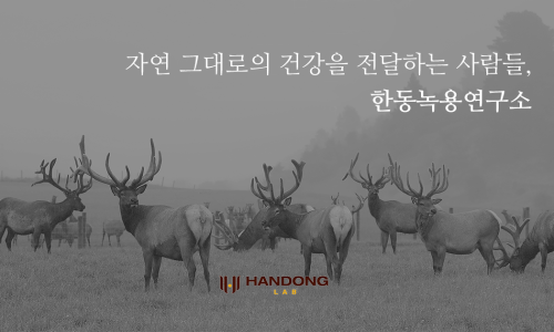 한동녹용연구소 이미지