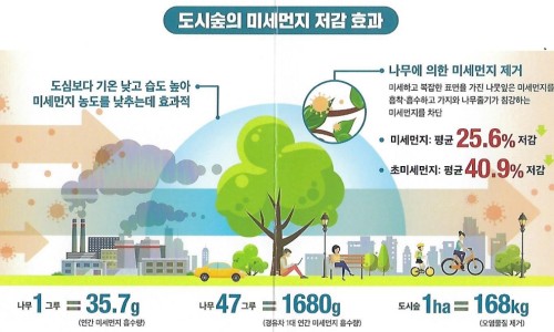 덕평공룡수목원 이미지