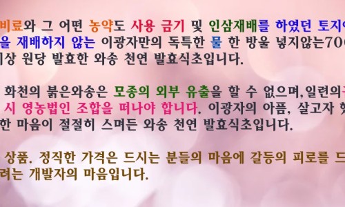 해동와송 이미지
