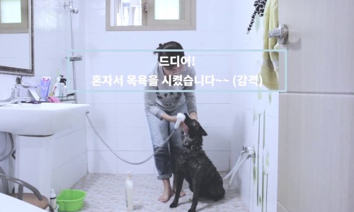 필터생각 이미지