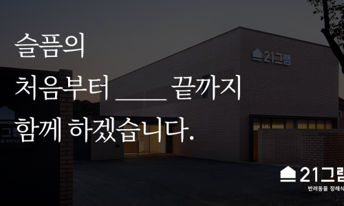 팡팡여행사 이미지