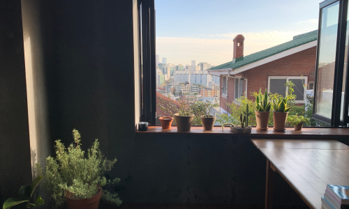 달걀책방 이미지