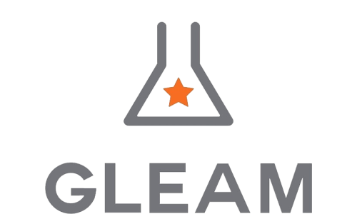 글림(GLEAM) 이미지
