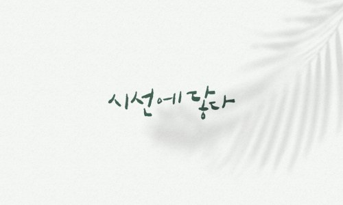 시노그라피스튜디오 이미지