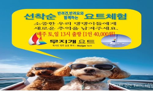제주무지개투어 이미지