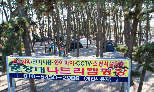 춘장대나드리캠핑장 이미지