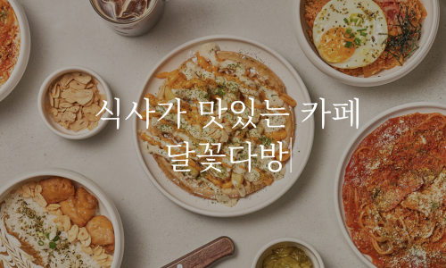 달꽃다방 이미지