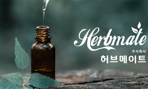 웰니스메이트 이미지