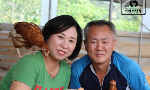 아빠사랑팜체험 이미지