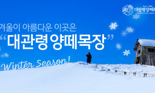 대관령양빵양빵양빵 이미지