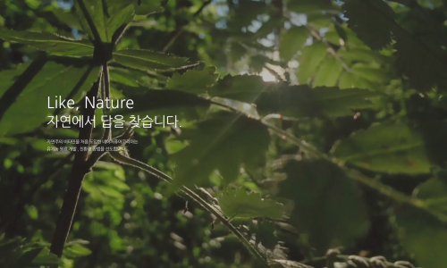 엔피케이(주) 이미지