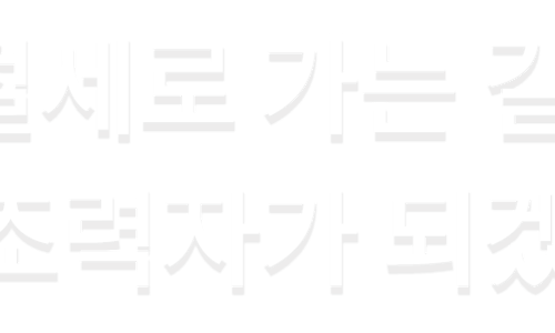 도안세무회계 이미지