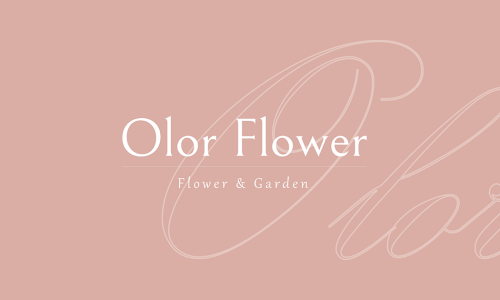 올로르플라워OlorFlower 이미지