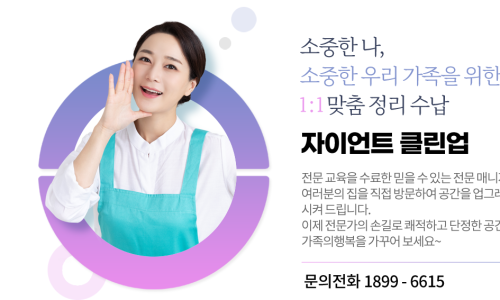 자이언트 클린 이미지