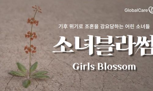 글로벌케어 이미지
