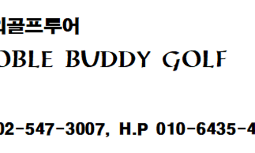 노블버디골프 이미지