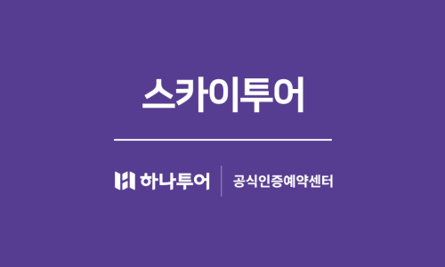 주식회사 스카이투어 이미지