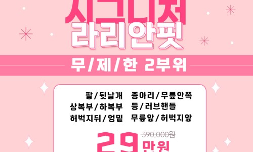 라리안 이미지