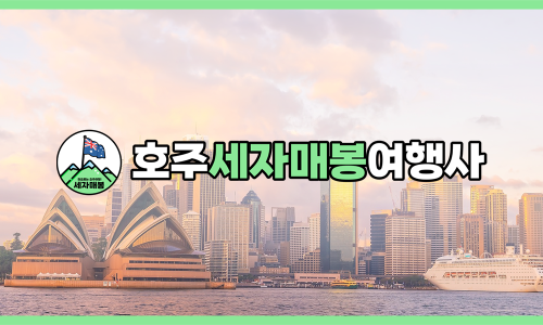 씨티투어여행사 이미지