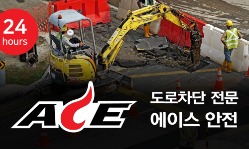 에이스 인력공사 이미지