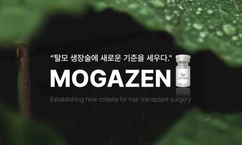 모셀러 이미지