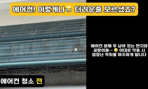 더클린앳홈 이미지