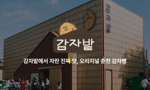 감자밭 이미지