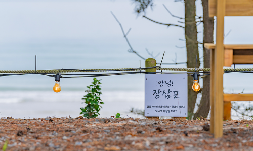 복고바다 이미지