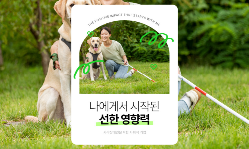 소셜컨시더 이미지