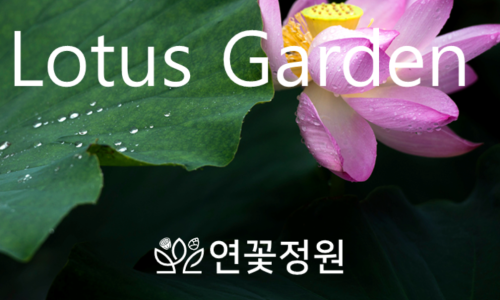 더가 농업회사법인 유한회사 이미지