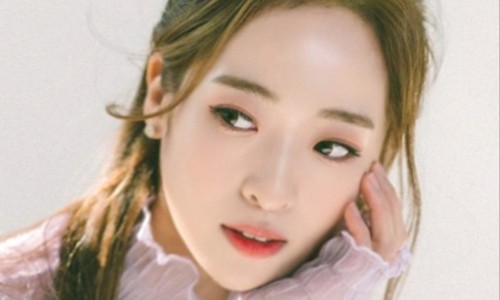 키마켓 이미지