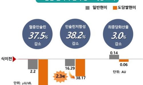 도담산업 이미지