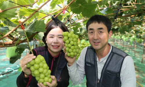 샤인통신 이미지