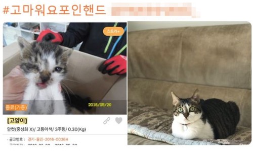 포인핸드 이미지