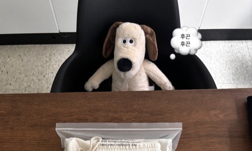 피터앤웬디 이미지