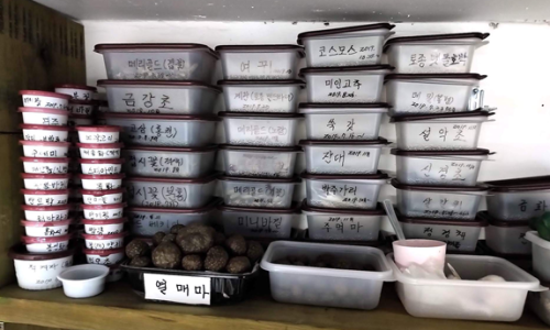 강동약초학교협동조합 이미지