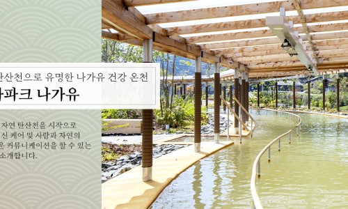 찰리정투어주 이미지