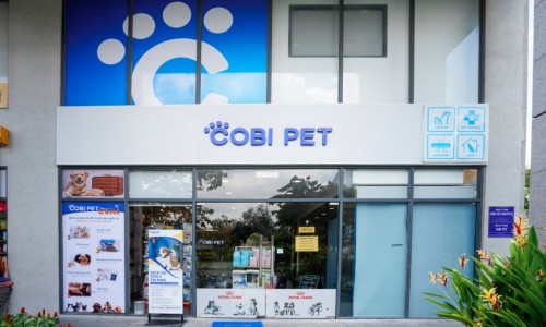 코비 트래블 이미지