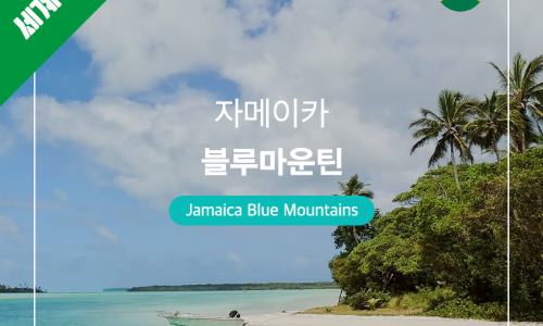 블루엘커피 이미지