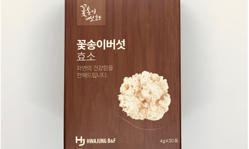 정직한버섯 이미지
