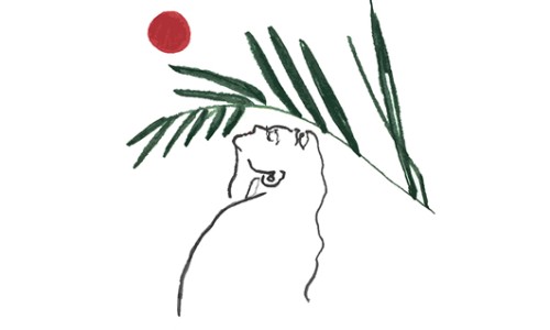 문라이트스톤 이미지
