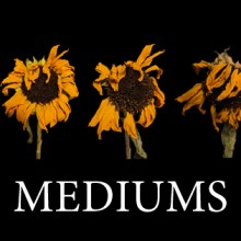 미디엄스(MEDIUMS) 이미지